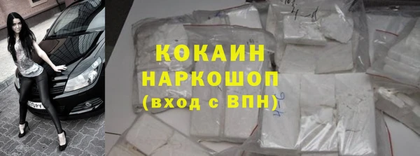 ПСИЛОЦИБИНОВЫЕ ГРИБЫ Сатка