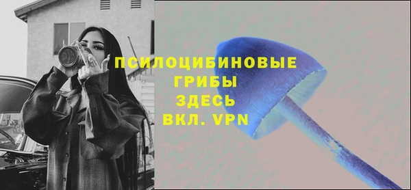 ПСИЛОЦИБИНОВЫЕ ГРИБЫ Сатка