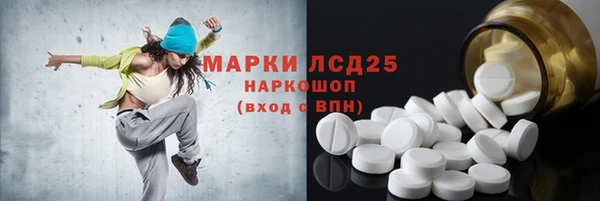 ПСИЛОЦИБИНОВЫЕ ГРИБЫ Сатка
