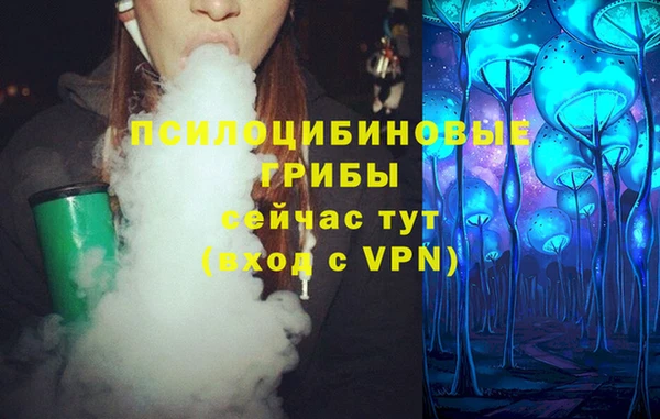 ПСИЛОЦИБИНОВЫЕ ГРИБЫ Сатка