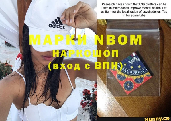 ПСИЛОЦИБИНОВЫЕ ГРИБЫ Сатка